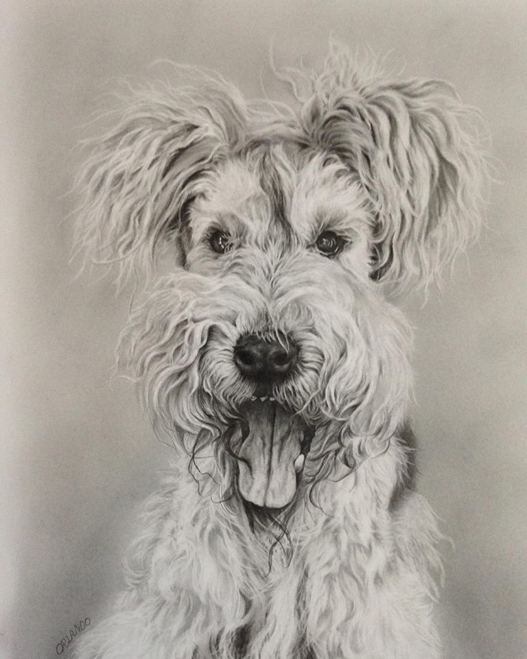 Crystal Dog Pencil Drawing